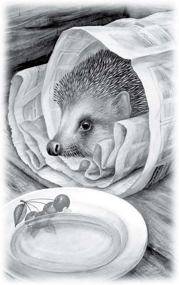 Сказки и рассказы о природе - i_003.jpg