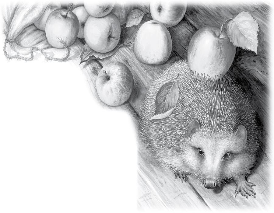 Сказки и рассказы о природе - i_004.jpg