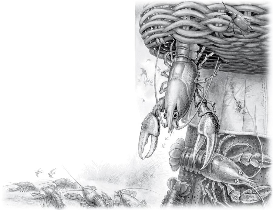 Сказки и рассказы о природе - i_006.jpg