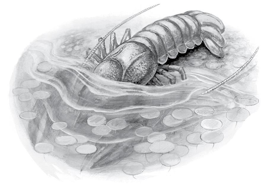 Сказки и рассказы о природе - i_007.jpg