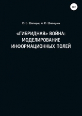 «Гибридная» война: Моделирование информационных полей - автор Шипицин Юрий 