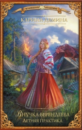 Внучка берендеева. Летняя практика - автор Демина Карина 