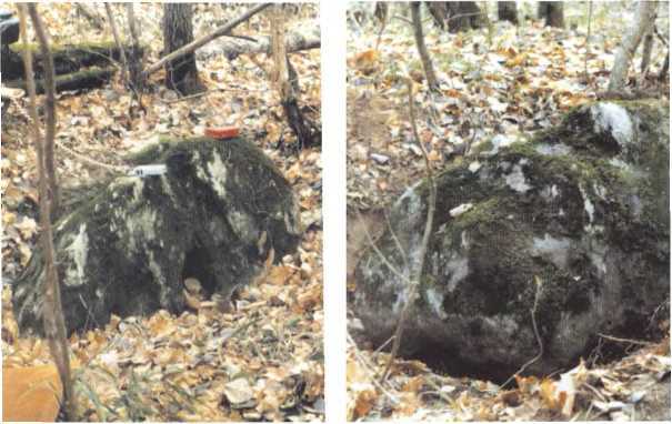 Играющие тени - i_040.jpg