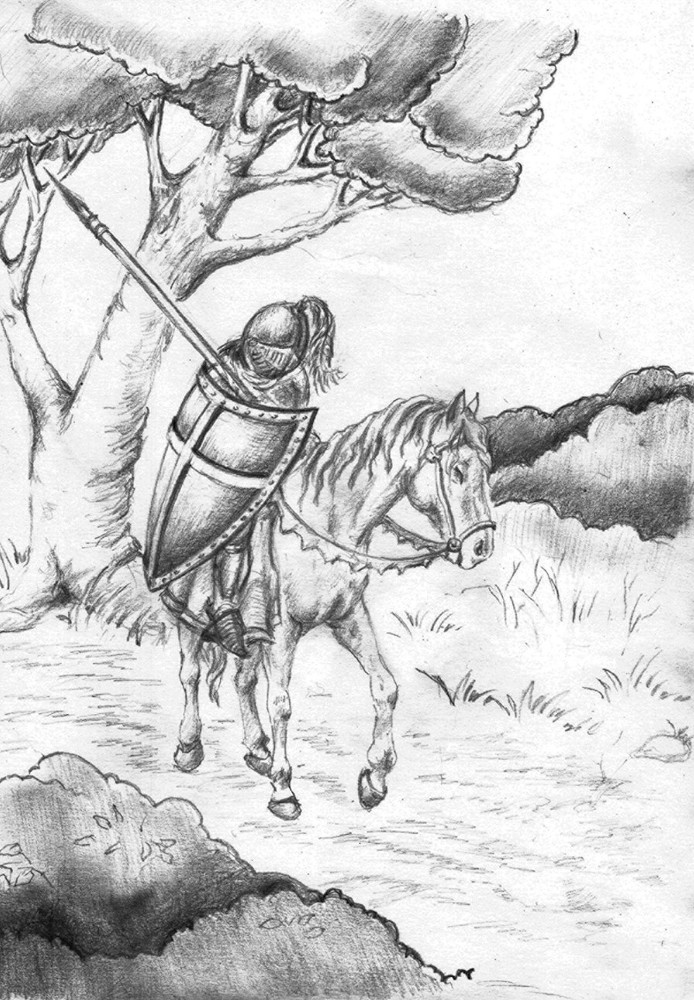 История одного похищения - i_009.jpg