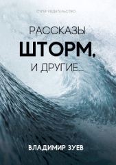 Рассказы. Шторм и другие - автор Зуев Владимир Матвеевич 