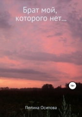 Брат мой, которого нет - автор Осипова Полина 