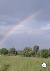 Застывшее мгновение вечности - автор Осипова Полина 