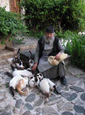 Моя рыбалка на Афоне - _11.jpg