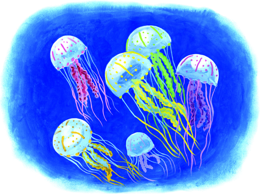 Путешествие среди коралловых рифов - i_004.png