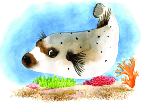 Путешествие среди коралловых рифов - i_006.png