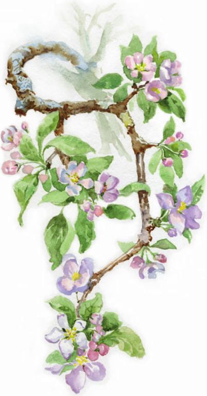 Святорусье - i_001.jpg