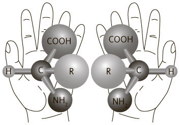 Руководитель проектов. Все навыки, необходимые для работы - i_002.jpg