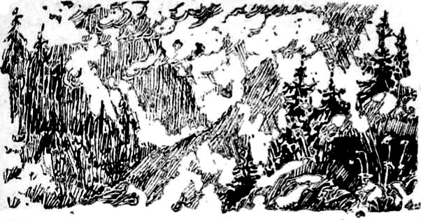 Алтайские робинзоны - i_026.jpg