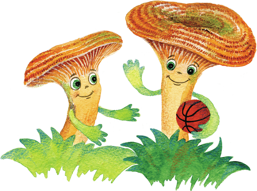 Грибное лукошко - i_006.png