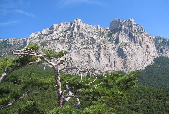 Крымские легенды и сказания. Книга 1 - i_012.jpg