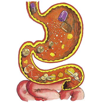 Пора за стол! Правильное питание при муковисцидозе - i_018.png