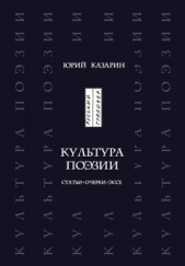 Культура поэзии. Статьи. Очерки. Эссе - автор Казарин Юрий 