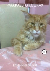  Филин Владимир - Рассказы о кошках