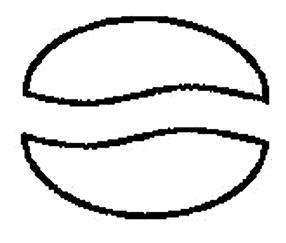 Техпаспорт апокалипсиса. Хождение в боги - i_005.jpg