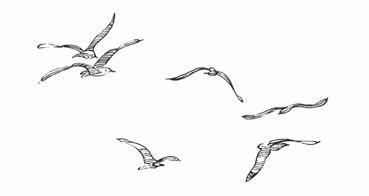 Роза ветров - i_001.jpg