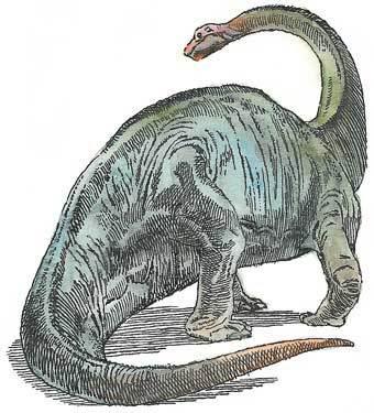 Детский университет. Исследователи объясняют загадки мира. Книга вторая - i_026.jpg