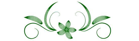 Похудеть вместе с маслом черного тмина? Легко! - i_008.jpg