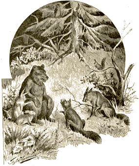 Сказки животных - i_002.png