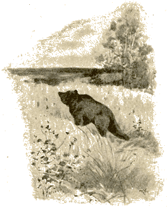 Сказки животных - i_003.png