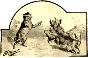 Сказки животных - i_010.png