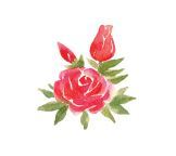 Страна Чудес - i_002.jpg