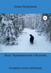  Петрушина Елена - Воля, Чернышевский и Калачик