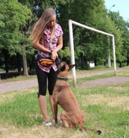 21 урок для владельца собаки. Понимание, обучение, дрессировка собаки - _10.jpg