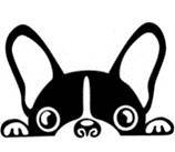 21 урок для владельца собаки. Понимание, обучение, дрессировка собаки - _11.jpg