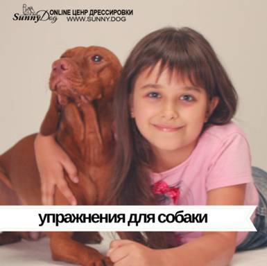 21 урок для владельца собаки. Понимание, обучение, дрессировка собаки - _15.jpg