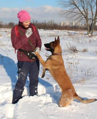21 урок для владельца собаки. Понимание, обучение, дрессировка собаки - _19.jpg