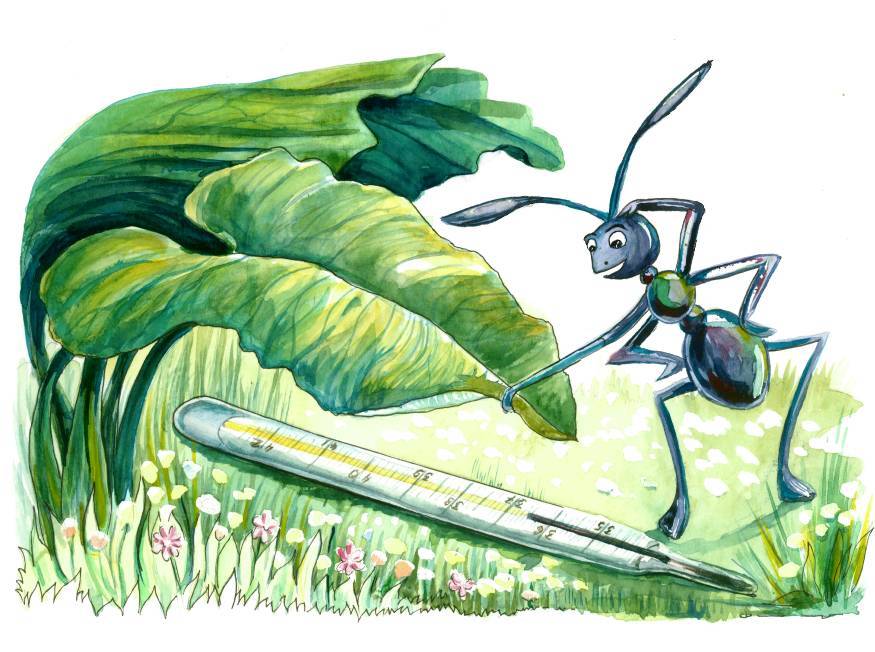 Сказки, обучающие эвристическим приёмам - _1.jpg