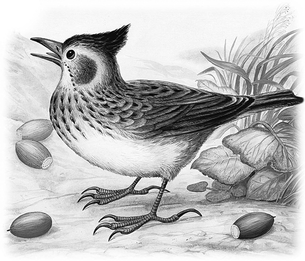 Сказки и рассказы - _025copy.jpg