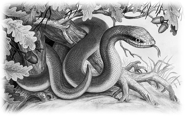 Сказки и рассказы - _027copy.jpg