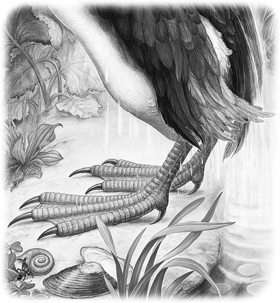 Сказки и рассказы - _029.jpg