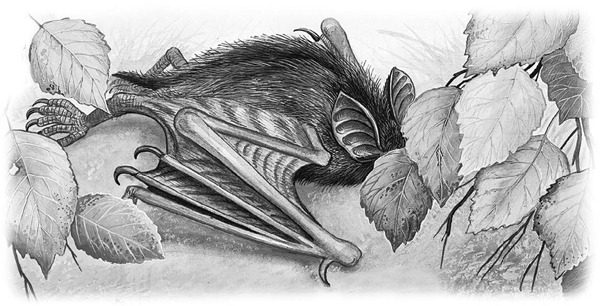 Сказки и рассказы - _030copy.jpg