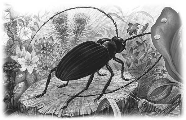 Сказки и рассказы - _038copy.jpg