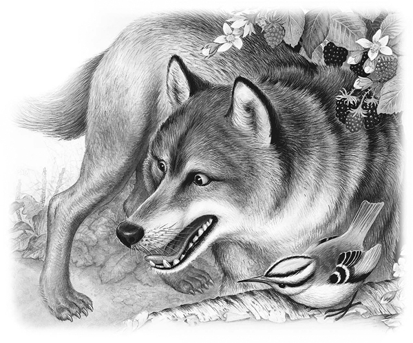 Сказки и рассказы - _042copy.jpg