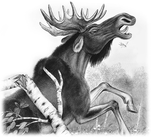 Сказки и рассказы - _049copy.jpg