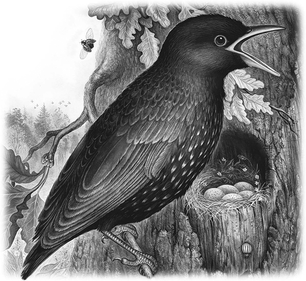 Сказки и рассказы - _058copy.jpg