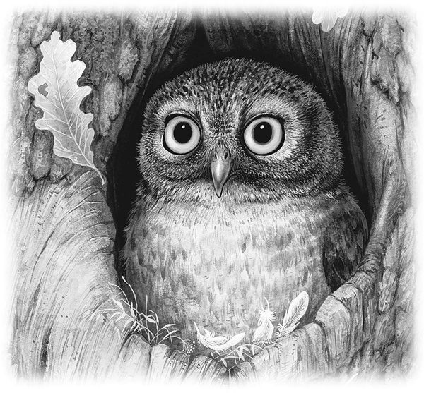 Сказки и рассказы - _059copy.jpg