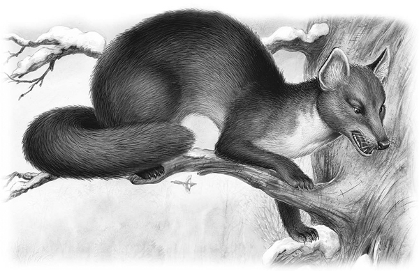 Сказки и рассказы - _062copy.jpg