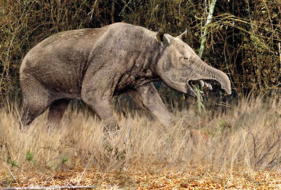 Кастор (СИ) - _13.jpg