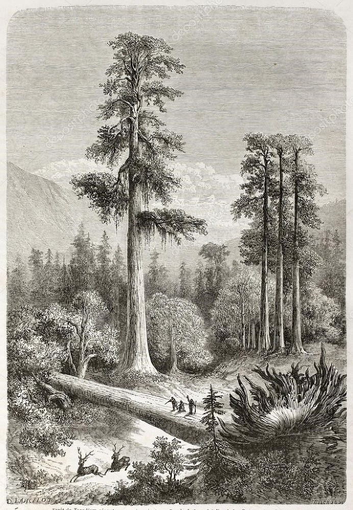 Кастор (СИ) - _62.jpg