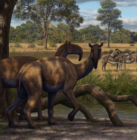 Кастор (СИ) - _65.jpg