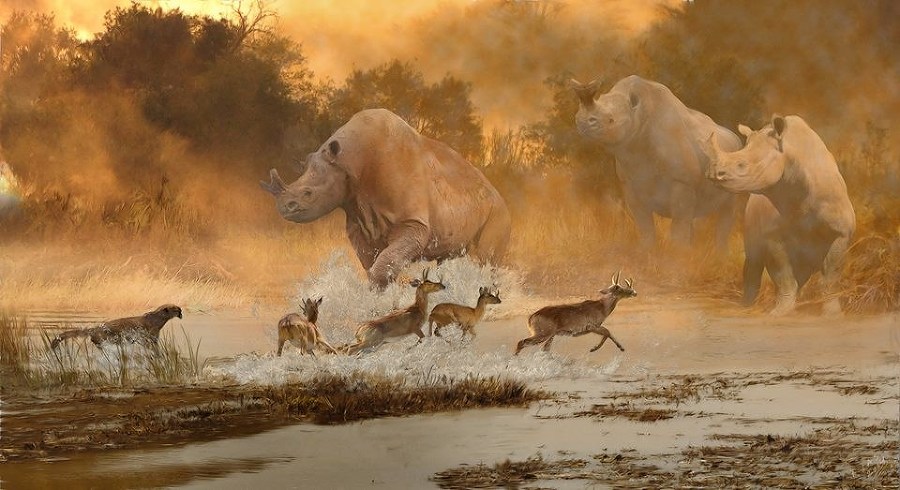 Кастор (СИ) - _64.jpg